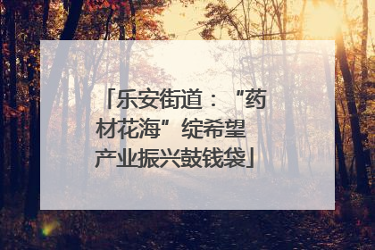 乐安街道：“药材花海”绽希望 产业振兴鼓钱袋