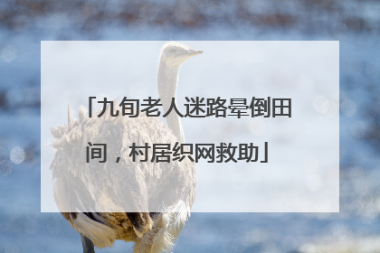九旬老人迷路晕倒田间，村居织网救助
