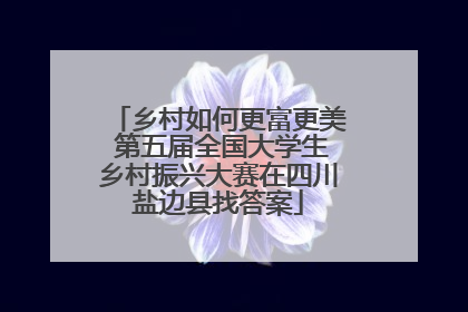 乡村如何更富更美 第五届全国大学生乡村振兴大赛在四川盐边县找答案