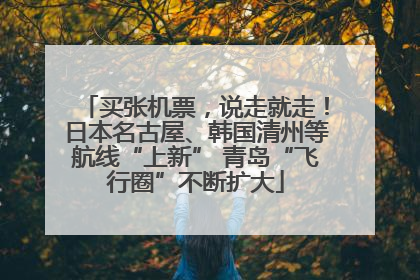 买张机票，说走就走！日本名古屋、韩国清州等航线“上新” 青岛“飞行圈”不断扩大