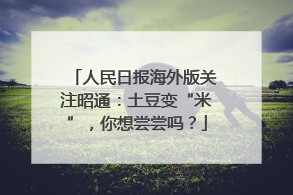 人民日报海外版关注昭通：土豆变“米”，你想尝尝吗？