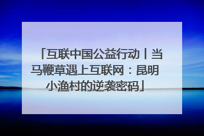 互联中国公益行动丨当马鞭草遇上互联网：昆明小渔村的逆袭密码