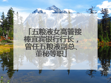 五粮液女高管接棒宜宾银行行长，曾任五粮液副总、董秘等职