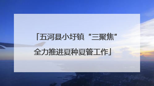 五河县小圩镇“三聚焦”全力推进夏种夏管工作