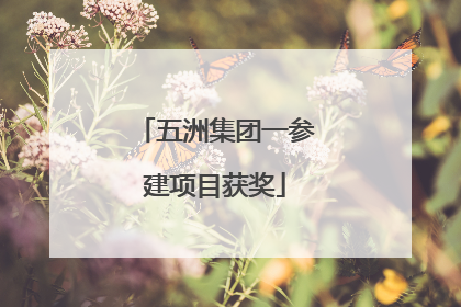 五洲集团一参建项目获奖
