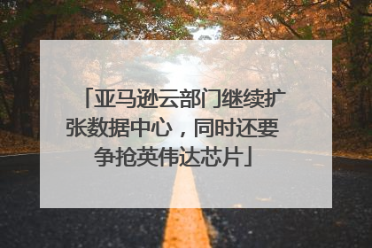 亚马逊云部门继续扩张数据中心，同时还要争抢英伟达芯片