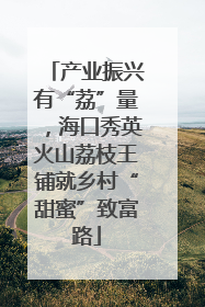 产业振兴有“荔”量，海口秀英火山荔枝王铺就乡村“甜蜜”致富路