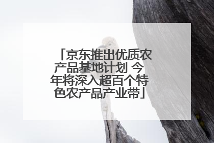 京东推出优质农产品基地计划 今年将深入超百个特色农产品产业带