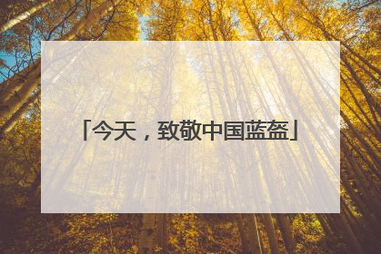 今天，致敬中国蓝盔
