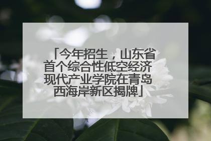 今年招生，山东省首个综合性低空经济现代产业学院在青岛西海岸新区揭牌