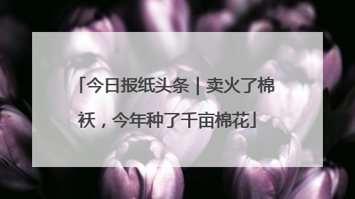 今日报纸头条｜卖火了棉袄，今年种了千亩棉花