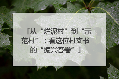 从“烂泥村”到“示范村”：看这位村支书的“振兴答卷”