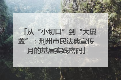 从“小切口”到“大覆盖”：荆州市民法典宣传月的基层实践密码