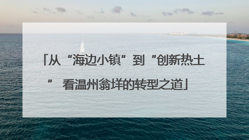从“海边小镇”到“创新热土” 看温州翁垟的转型之道
