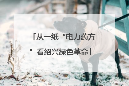 从一纸“电力药方”看绍兴绿色革命