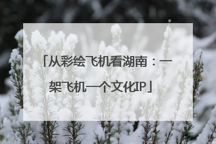 从彩绘飞机看湖南：一架飞机一个文化IP