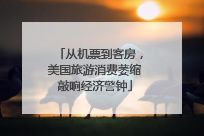 从机票到客房，美国旅游消费萎缩敲响经济警钟