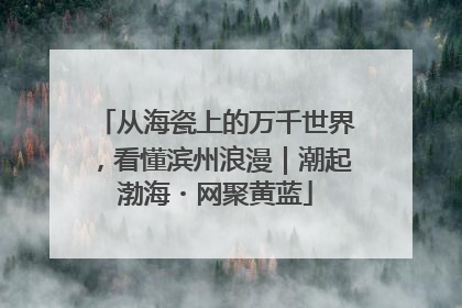 从海瓷上的万千世界，看懂滨州浪漫｜潮起渤海・网聚黄蓝
