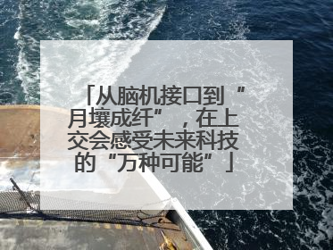 从脑机接口到“月壤成纤”，在上交会感受未来科技的“万种可能”