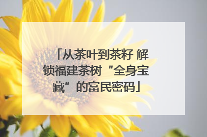 从茶叶到茶籽 解锁福建茶树“全身宝藏”的富民密码
