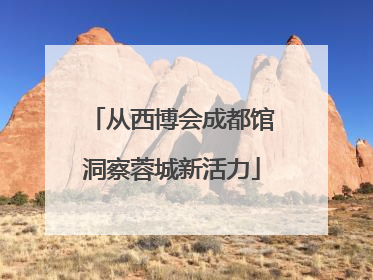 从西博会成都馆洞察蓉城新活力