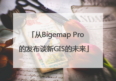 从Bigemap Pro的发布谈新GIS的未来