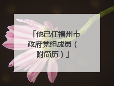 他已任福州市政府党组成员（附简历）