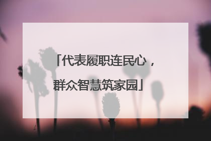代表履职连民心，群众智慧筑家园