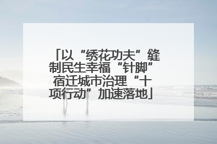 以“绣花功夫”缝制民生幸福“针脚” 宿迁城市治理“十项行动”加速落地