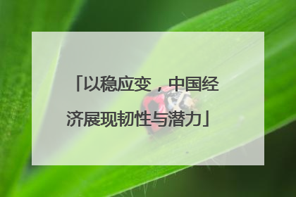 以稳应变，中国经济展现韧性与潜力