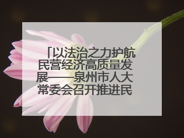 以法治之力护航民营经济高质量发展——泉州市人大常委会召开推进民营经济促进法贯彻实施座谈会