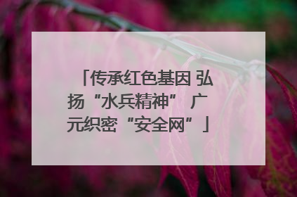 传承红色基因 弘扬“水兵精神” 广元织密“安全网”