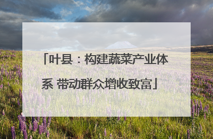 叶县：构建蔬菜产业体系 带动群众增收致富