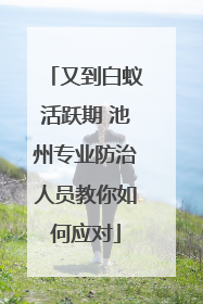 又到白蚁活跃期 池州专业防治人员教你如何应对