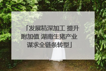 发展精深加工 提升附加值 湖南生猪产业谋求全链条转型