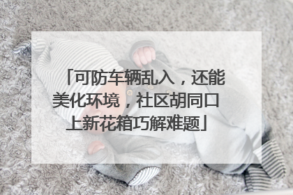 可防车辆乱入，还能美化环境，社区胡同口上新花箱巧解难题