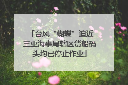 台风“蝴蝶”迫近 三亚海事局辖区货船码头均已停止作业