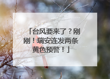 台风要来了？刚刚！瑞安连发两条黄色预警！