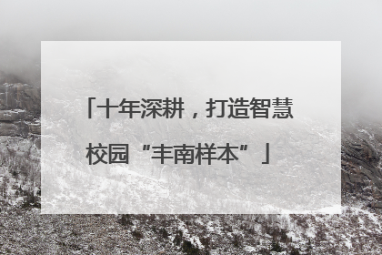 十年深耕，打造智慧校园“丰南样本”