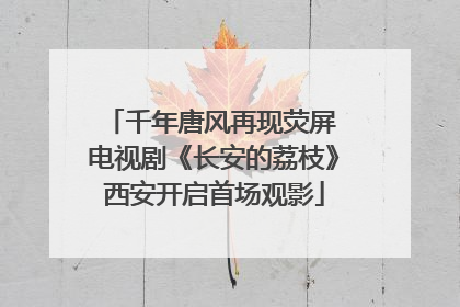 千年唐风再现荧屏 电视剧《长安的荔枝》西安开启首场观影