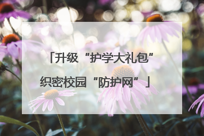 升级“护学大礼包”织密校园“防护网”