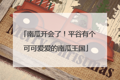 南瓜开会了！平谷有个可可爱爱的南瓜王国