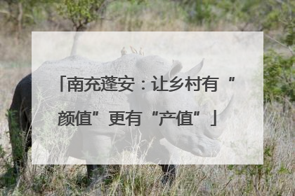 南充蓬安：让乡村有“颜值”更有“产值”