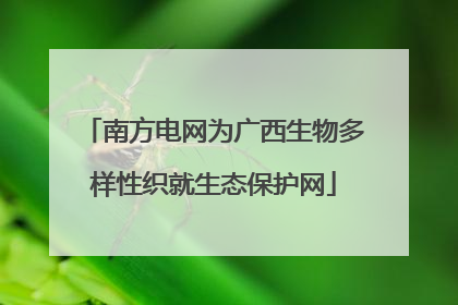 南方电网为广西生物多样性织就生态保护网