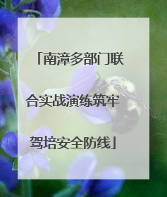 南漳多部门联合实战演练筑牢驾培安全防线