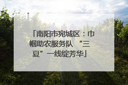 南阳市宛城区：巾帼助农服务队 “三夏”一线绽芳华