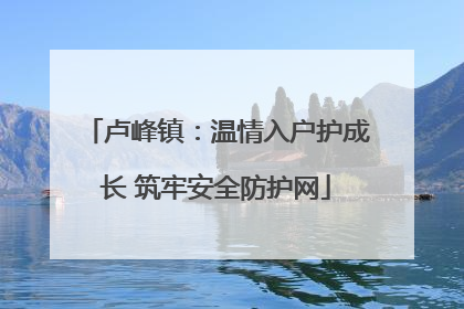 卢峰镇：温情入户护成长 筑牢安全防护网