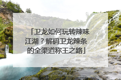 卫龙如何玩转辣味江湖？解码卫龙辣条的全渠道称王之路