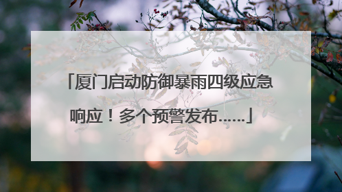 厦门启动防御暴雨四级应急响应！多个预警发布……