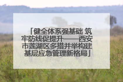 健全体系强基础 筑牢防线促提升——西安市莲湖区多措并举构建基层应急管理新格局